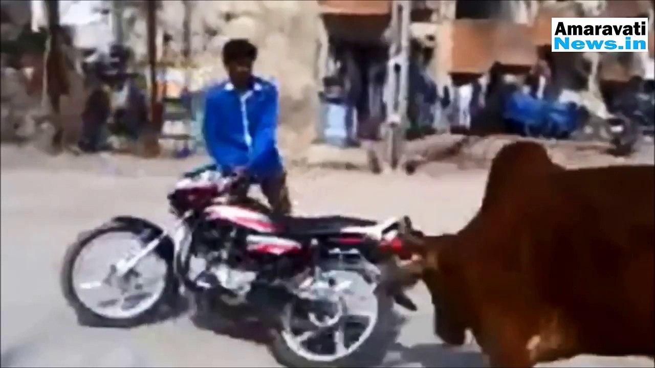Ultimate 30 Minute Funny Fail Compilation Best Of Top Funny Home Videos