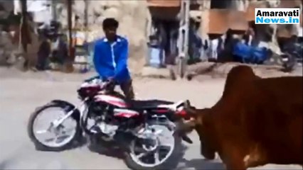 Ultimate 30 Minute Funny Fail Compilation Best Of Top Funny Home Videos