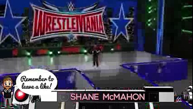 SHANE MCMAHON VS UNDERTAKER HELL IN A CELL (WWE