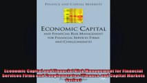 Economic Capital and Financial Risk Management for Financial Services Firms and