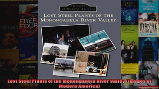 Lost Steel Plants of the Monongahela River Valley Images of Modern America