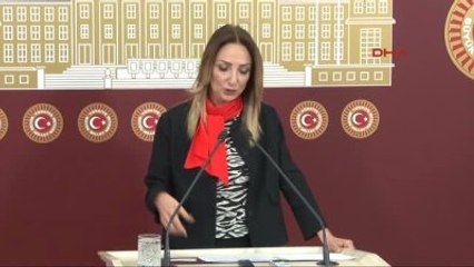 Aylin Nazlıaka TBMM'de Basın Toplantısı Düzenledi 2