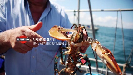 A pleines dents !