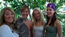 Celtic Woman / Chloe Agnew - Australian postcard 3