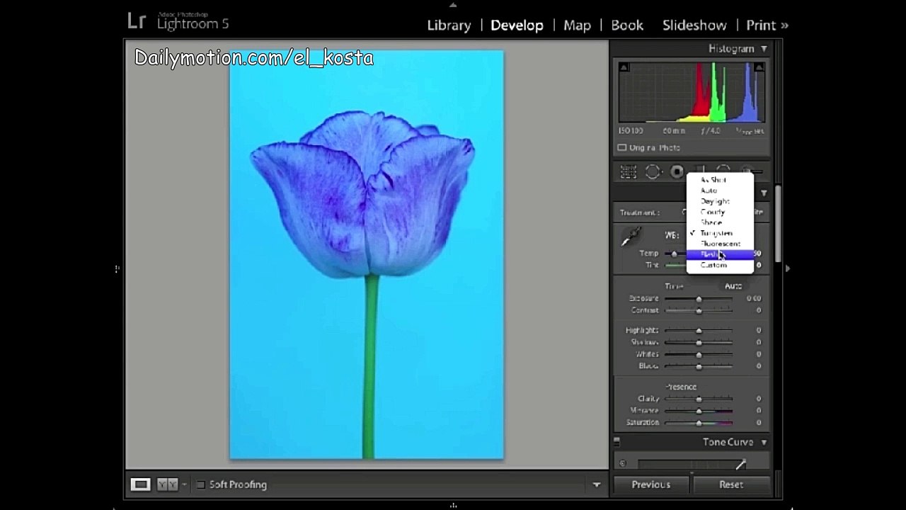 Aula 19 - Curso Completo de Adobe Lightroom