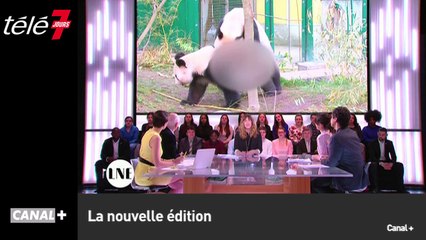 Le zapping du 30/03 : Une candidate pète un plomb dans The Island (M6)