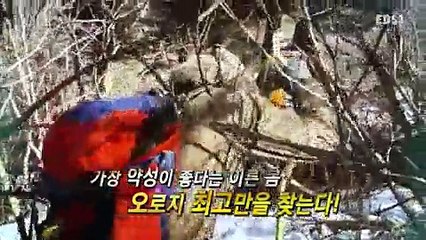 극한 직업.E716.160330 -1