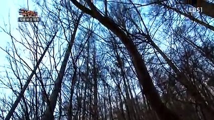 극한 직업.E716.160330 -2