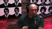 Joe Rogan talks Conor McGregor - Nate Diaz Rematch and Cyborg joining UFC