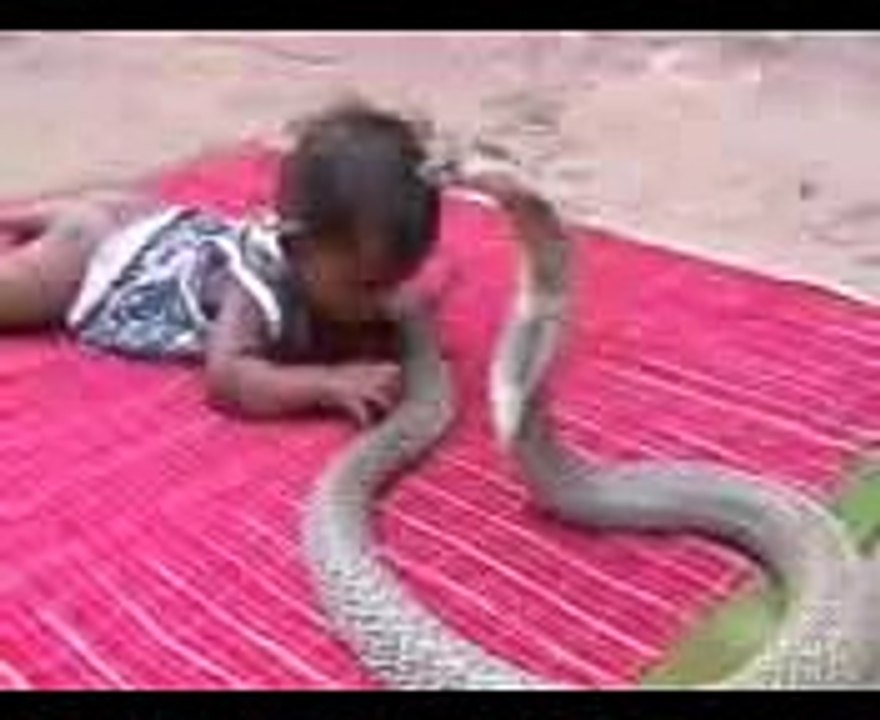 funny hd