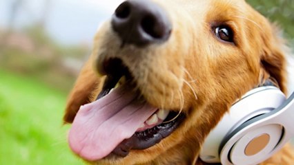 Top 10 Dangerous Social Experiments