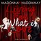 Madonna Vs Haddaway - Living For (What Is) Love [Robin Skouteris Mix]