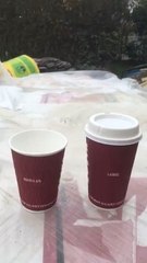 Coffee Showdown: What's the Difference Between Two Cups? ☕️