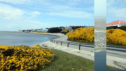 Descubriendo Falklands (demo)