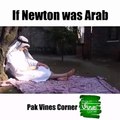 If Newton was an Arabian