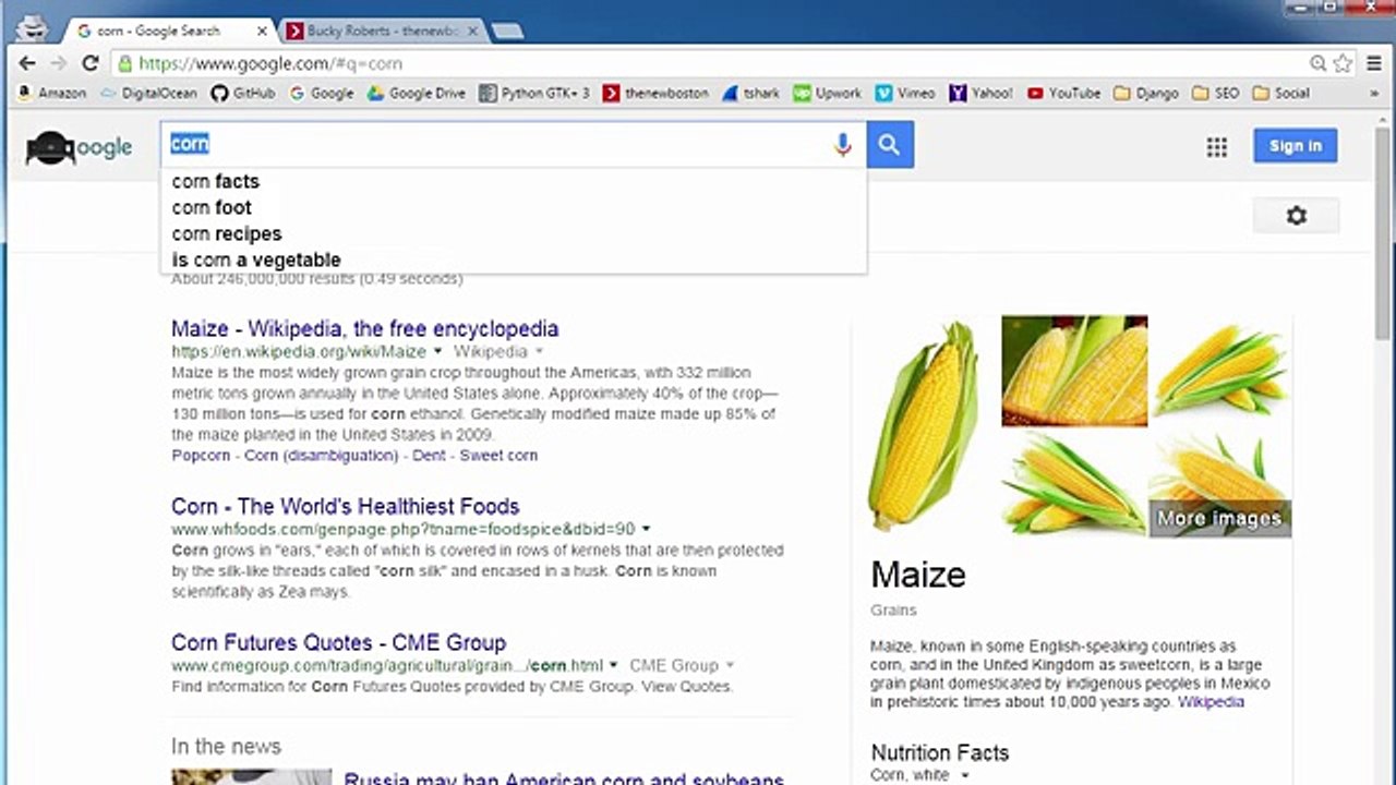 SEO for Beginners Tutorial - 5 - Title and Meta Description -2016