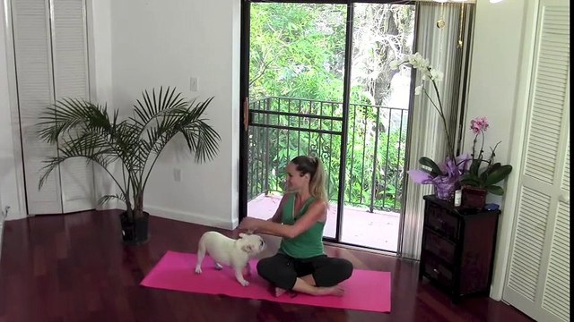 Stretch & Strength (Sundown Mix)_ Full 30 Minute Flexibility and Stretching Home Routine