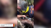 Dog Rescued After Getting Hopelessly Stuck In A Tree Base