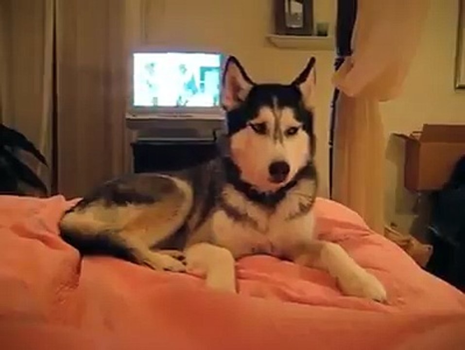 woolf saying i love you
