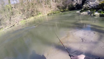 grosse cartouche truite sur sandra 7cm delalande