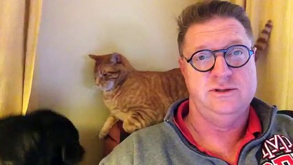 Un dimanche matin avec son chat et son chien