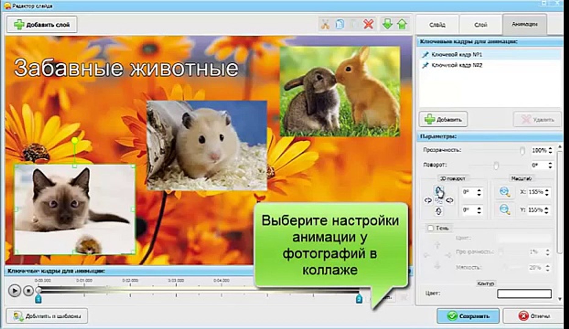 ⁣Профессиональная программа для создания слайд-шоу