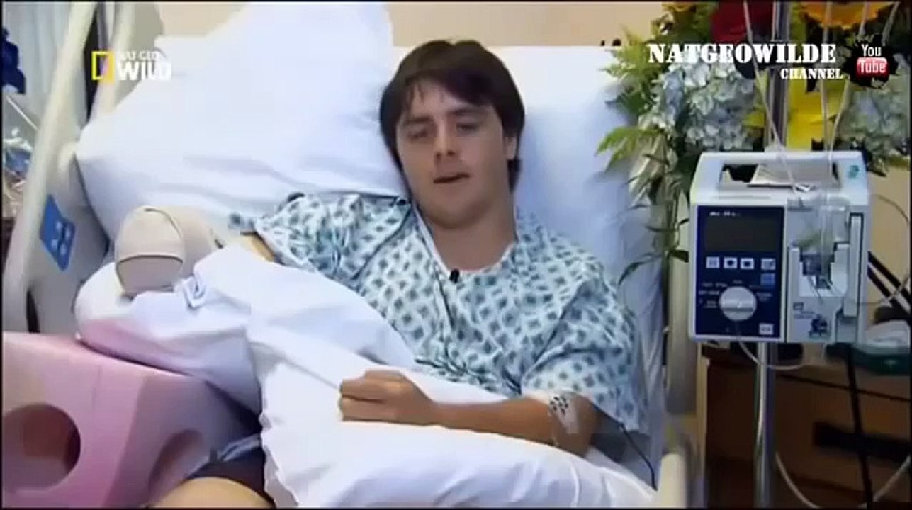 Most Scary Animal Attacks - Mistakes of The People & Awful Attack of Animals, Net Geo Wild