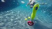 Pit Bull Border Collie mix Coco dives underwater like a mermaid for her dog toys