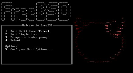 Hacking FreeBSD RESET ROOT Password