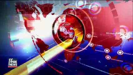 Researcher: Zika vaccine could be ready in two years