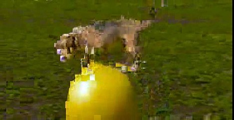 A Japanese dog Purin beat a speed record on a ball