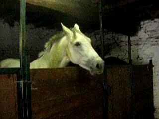Pictures 031