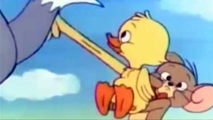 Tom and Jerry, 6 Episode - Puss n Toots (1942)