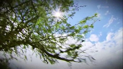 Dakar Rally 2011 Day 04