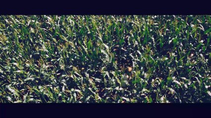 Boa Noite, Mamãe! - Trailer Legendado