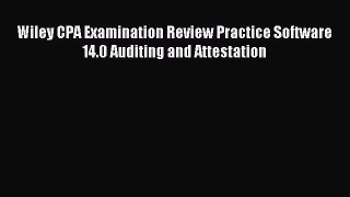 Read Wiley CPA Examination Review Practice Software 14.0 Auditing and Attestation PDF Free
