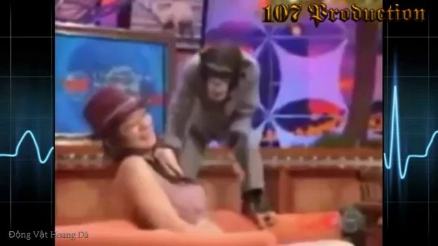 Funny Videos funny sexy videos ★ Best Funny Fail Compilation ★ Funny Videos Try Not To Laugh 2016