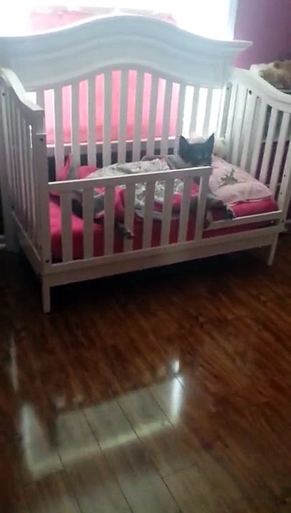 DIY : fabriquez un joli cadre souvenir pour votre bébéVoici comment réaliser un cadre pour bébé avec tous ses souvenirs