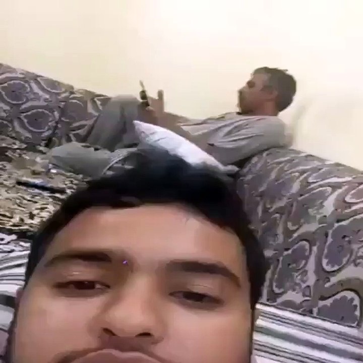 خطير الكلب