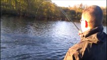 Roan Rainbows 1 - Trout Fishing