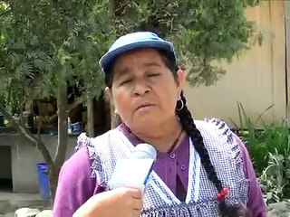 PAUTV-NOTICIERO MULTISUCESOS OCT. 2014-MORADORES DE LA HIGUERA PIDEN RETIRO DE REDUCTORES DE VELOCIDAD.
