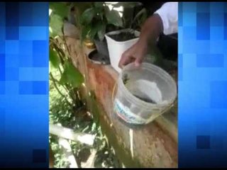 07-03-2016 - FOCOS DO MOSQUITO AEDES FLAGRADOS - ZOOM TV JORNAL