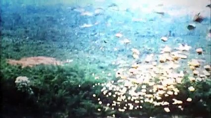 Cambodia: Pol Pot And The Khmer Rouge (2012) - Trailer (Documentary)