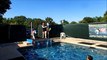 9 month old Great Dane Puppy Dog Texas dock jumps into the swimming pool - AWESOME jumps!!