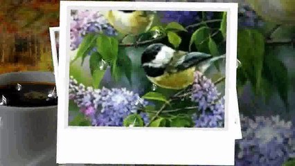 ENDRŐDI ÉVA - AMIKOR AZ ORGONÁK 3