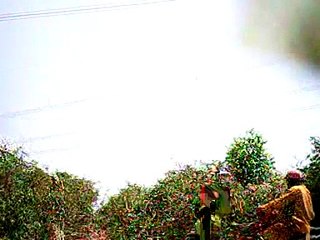 Clip Tận thấy sư đi khất thực xong rồi hoàn tục ở... ngoài đồng