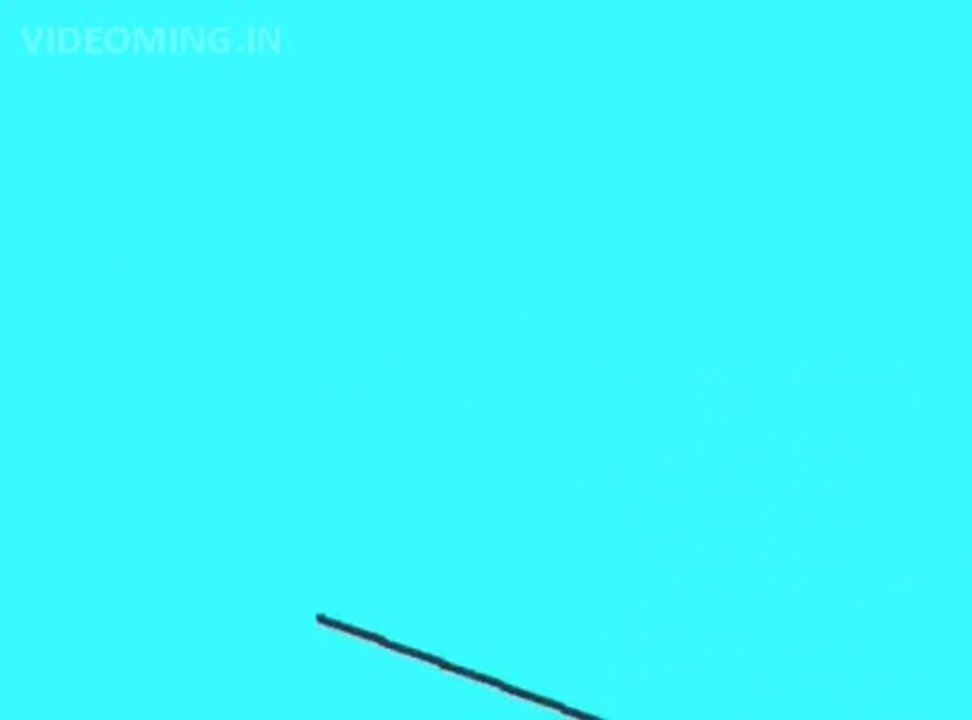 Angry Birds Funny (Animated Parody) HD