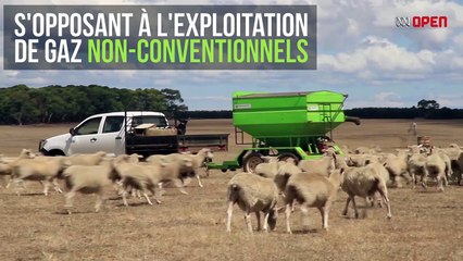 Des milliers de moutons contre le gaz de schiste