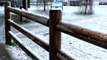 Snoqualmie Pass Snowball Fight shot with an iPhone 6s Plus in 4K