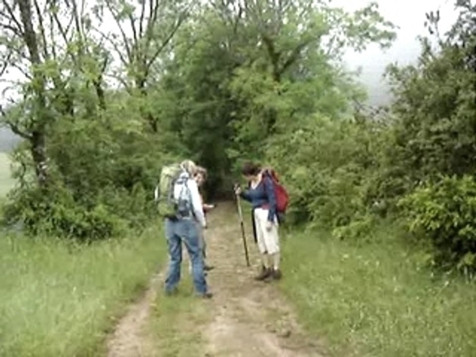 MOV00892
